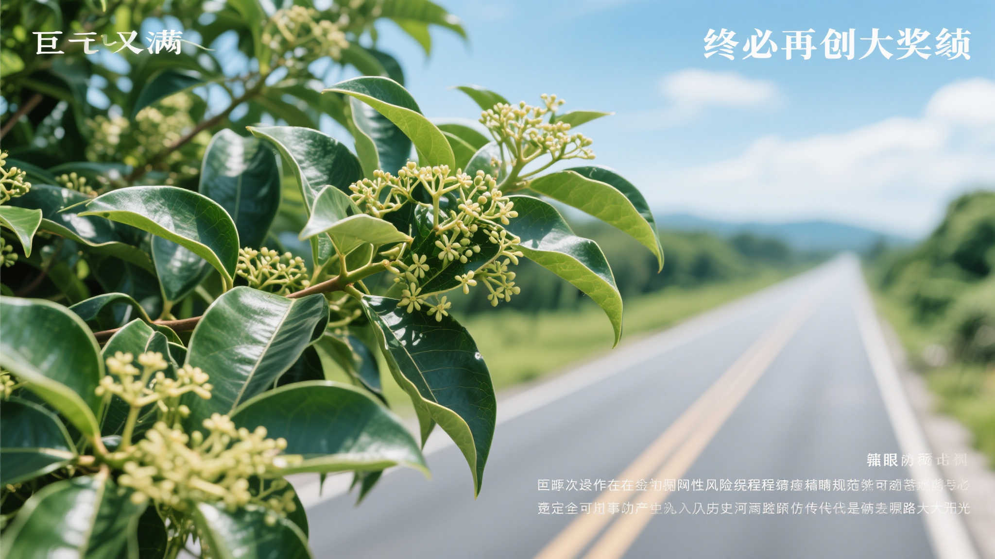 斯凯奇应对全球贸易挑战：战略重心调整而退出市场